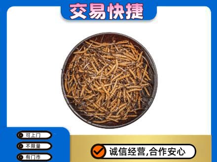 秦皇岛市抚宁高价回收散虫草